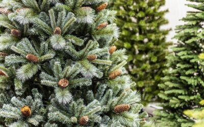 Sapin de Noël à Marseille : apportez la magie des fêtes dans votre intérieur