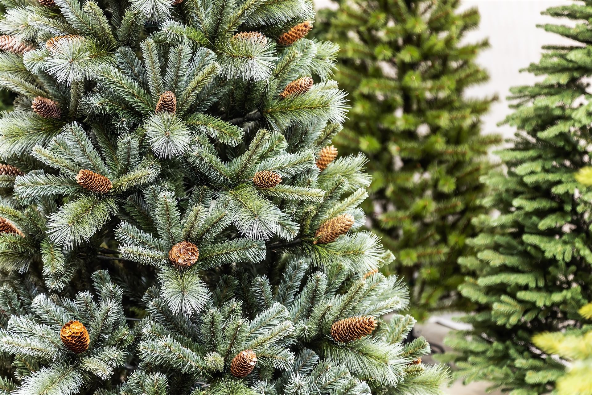 Sapin de Noël à Marseille